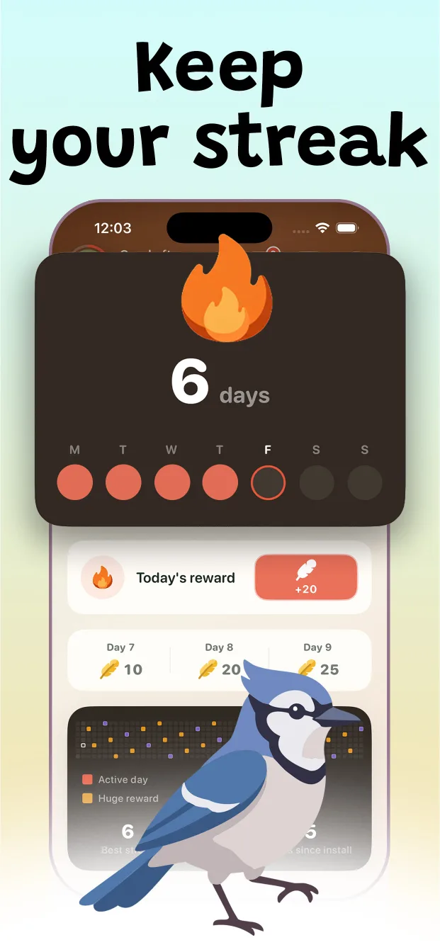 Syrinx bird-learning streak rewards