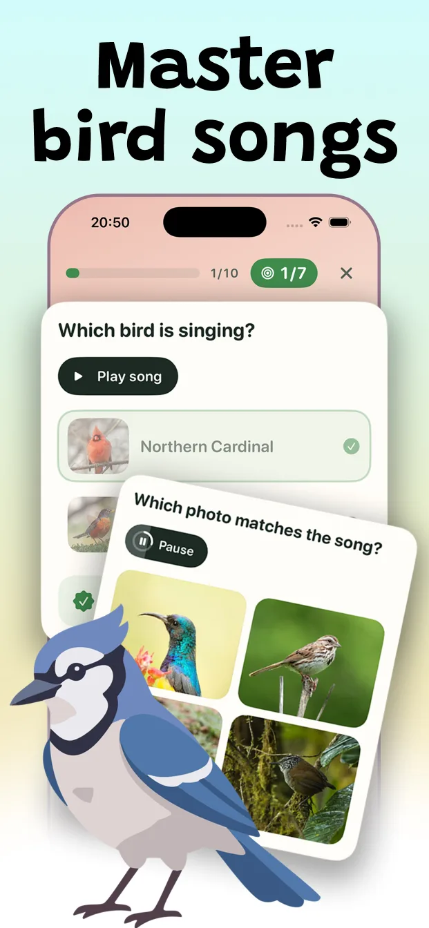 Bird-song and photo quiz modes in Syrinx